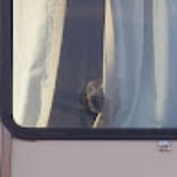 Meet your Posher, Charlie - Picture 1 of 1